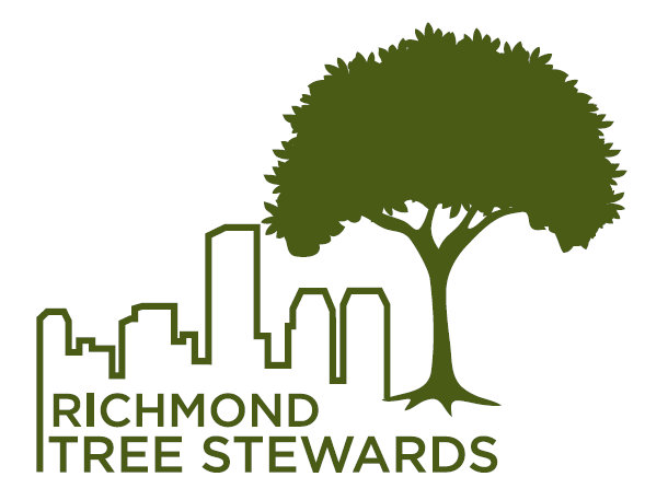 (c) Richmondtreestewards.wordpress.com